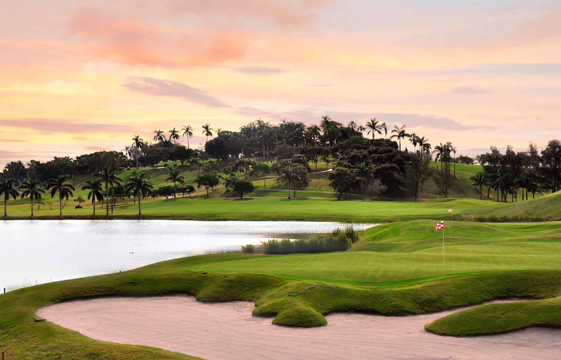 Image ¿Qué es gogolf?
